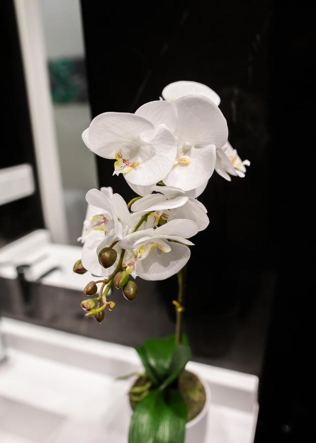 Apartament Inncadizcasa Senorial De 1790 Cadis